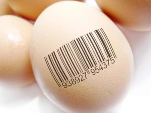 Group Of Eggs Barcoded To Represent Product Identification